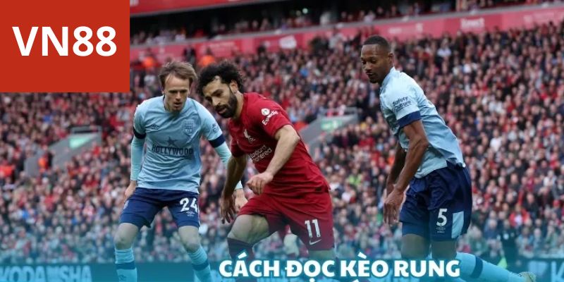 Cách đọc kèo rung chính xác nhất Vn88