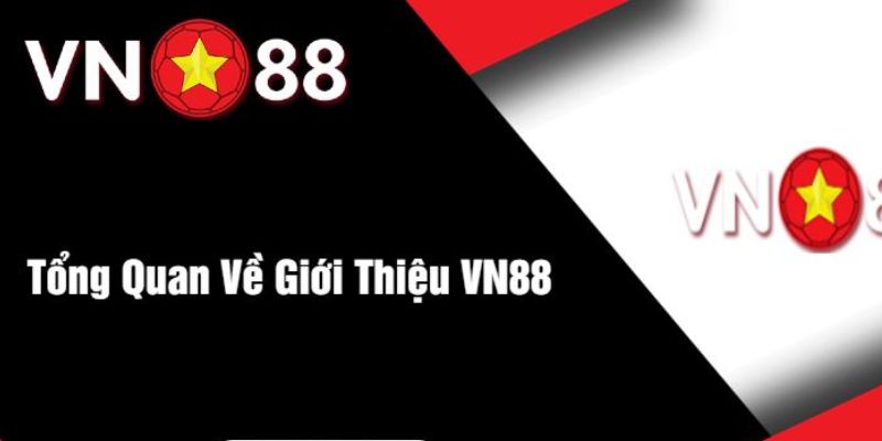 Tổng quan về nhà cái vn88